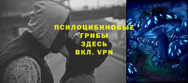 ALPHA PVP Беломорск