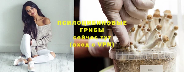 МДМА Белокуриха