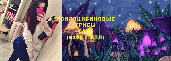 МДМА Белокуриха