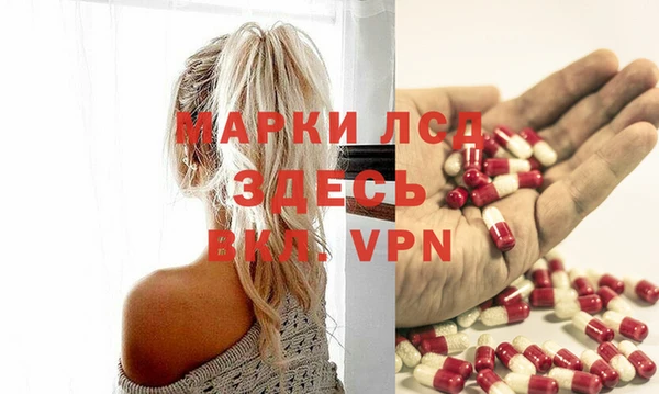 ALPHA PVP Беломорск