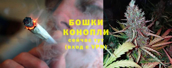 ALPHA PVP Беломорск