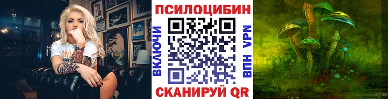 где купить наркоту  Вязники  Псилоцибиновые грибы Magic Shrooms 