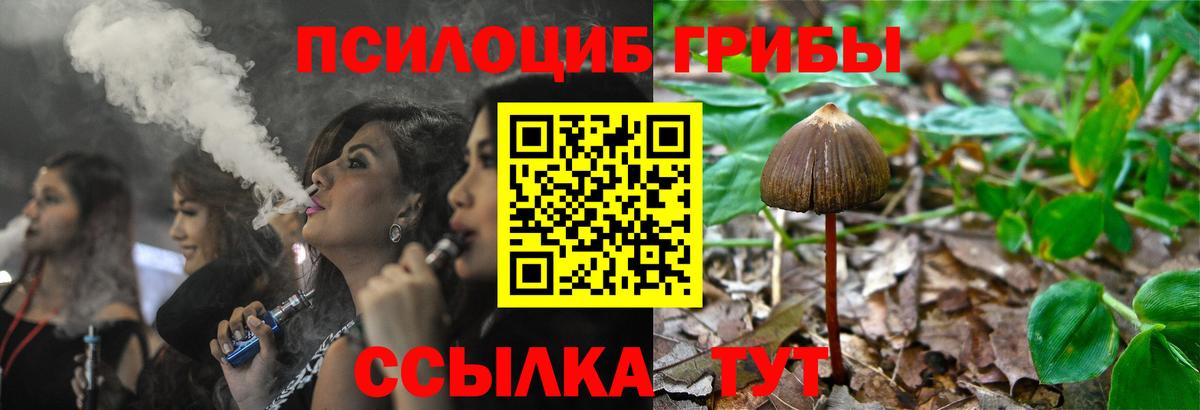 Галлюциногенные грибы MAGIC MUSHROOMS Вязники